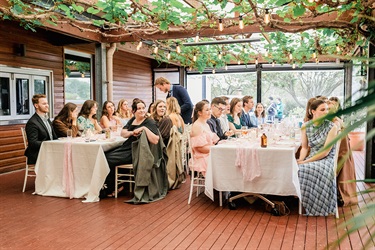 Wedding reception under the vines