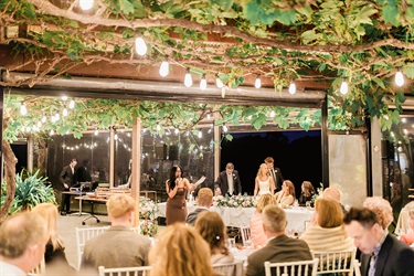 Wedding reception under the vines